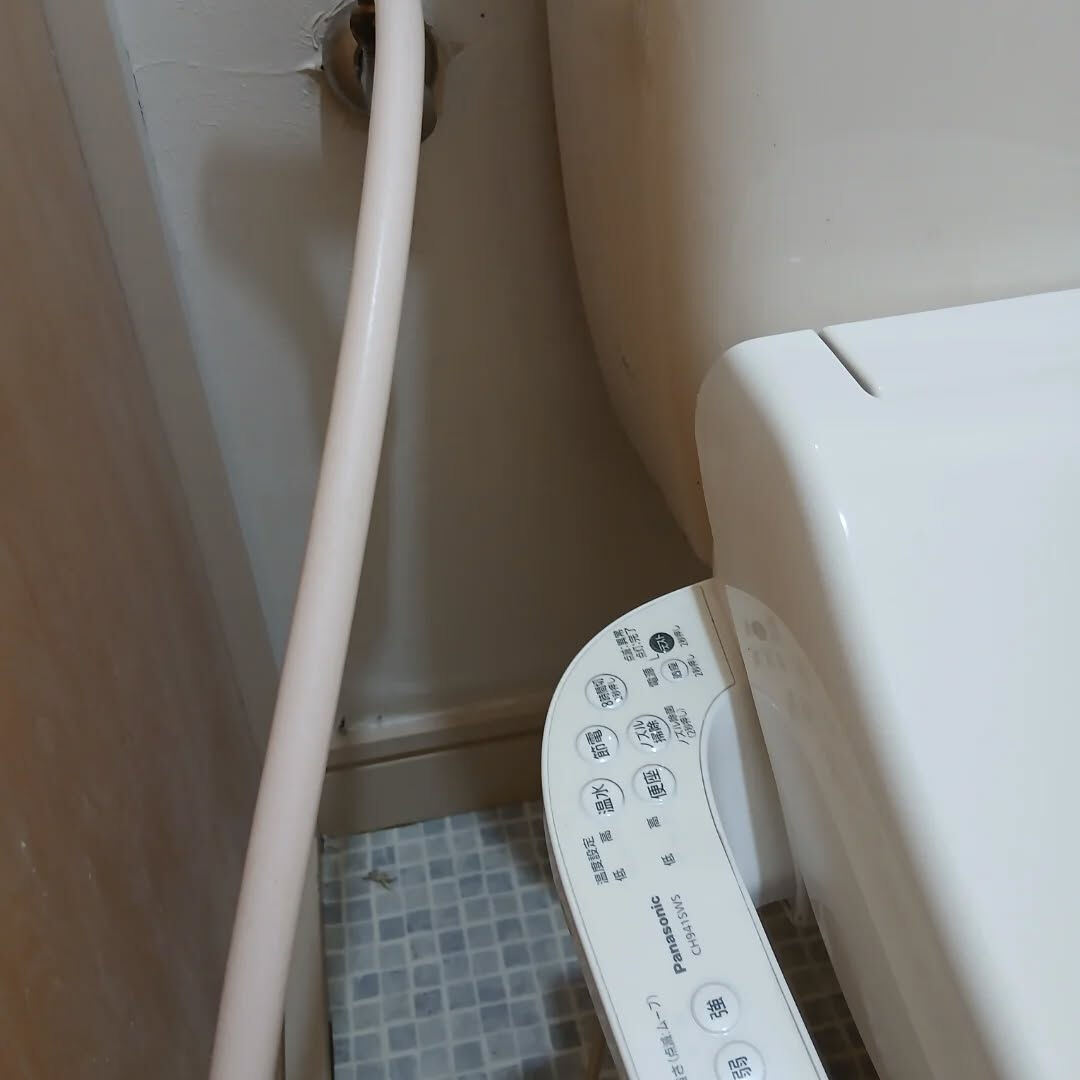 おはようございます！