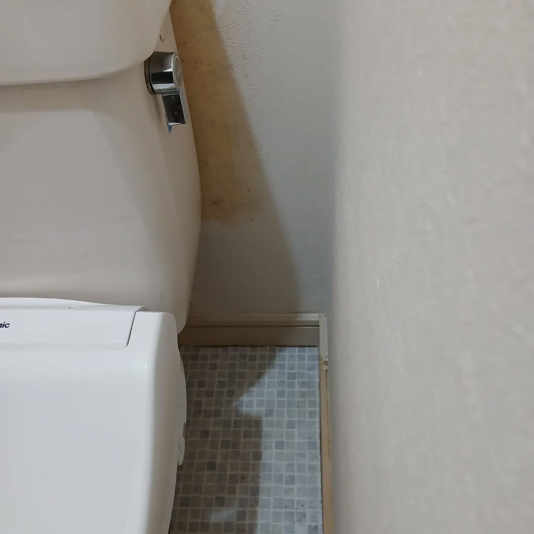 おはようございます！
