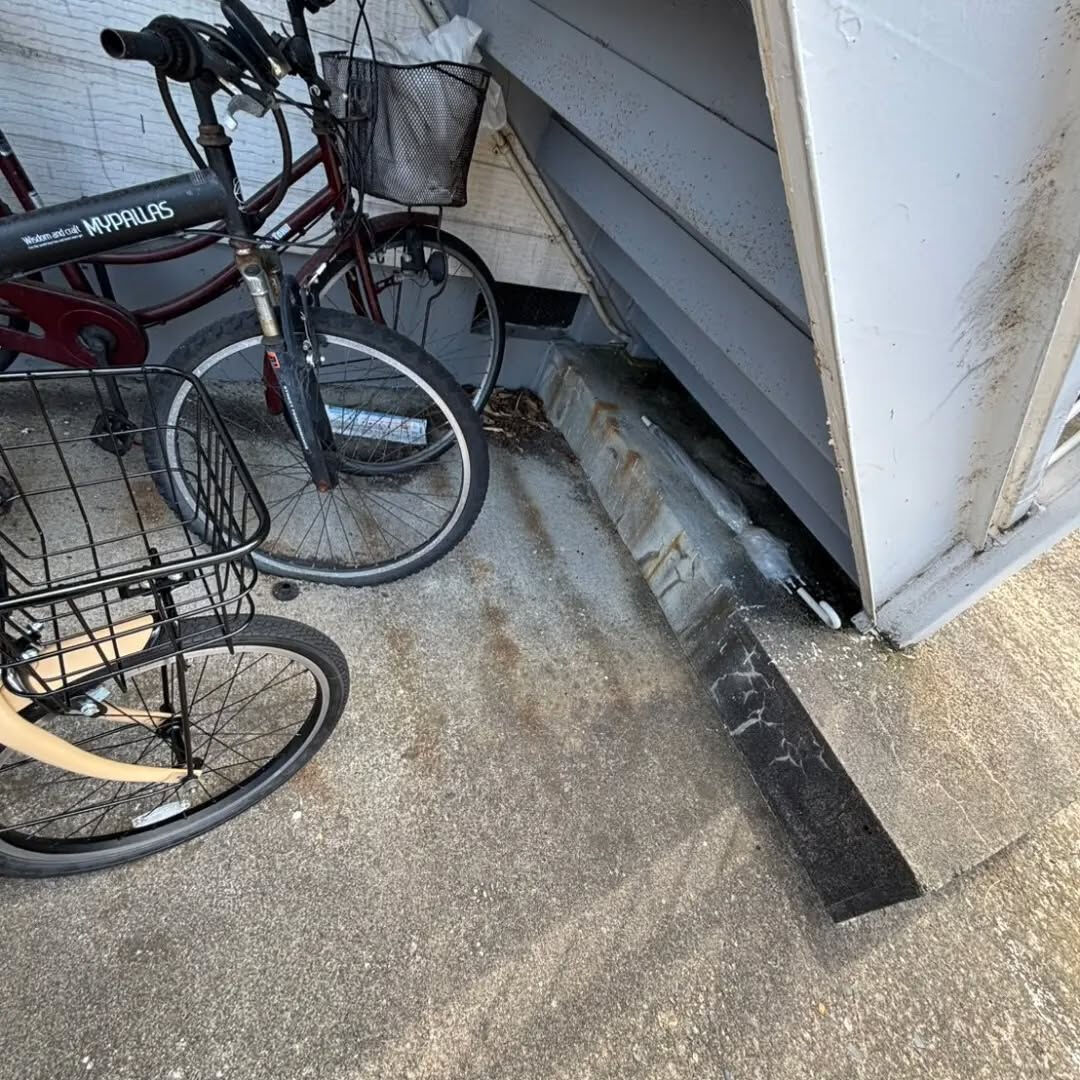 こんにちは！