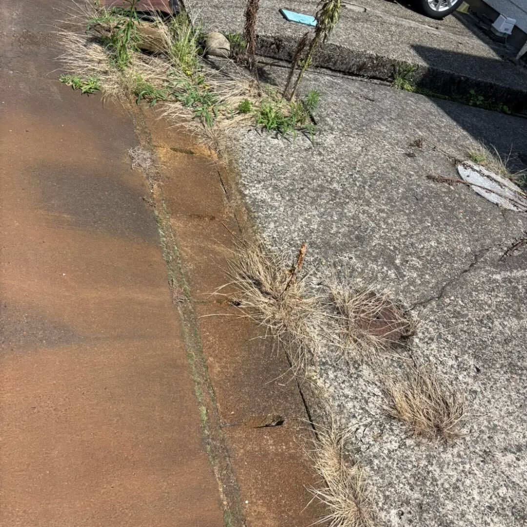 こんにちは！