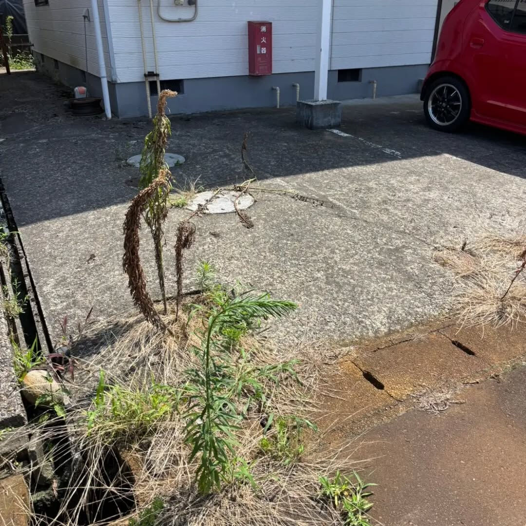 こんにちは！
