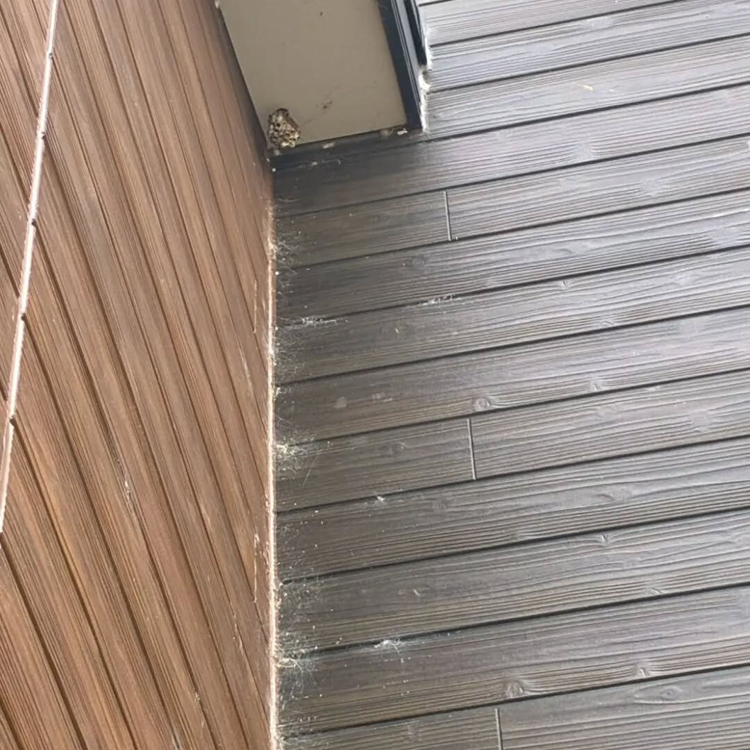 こんにちは！なじら家です！