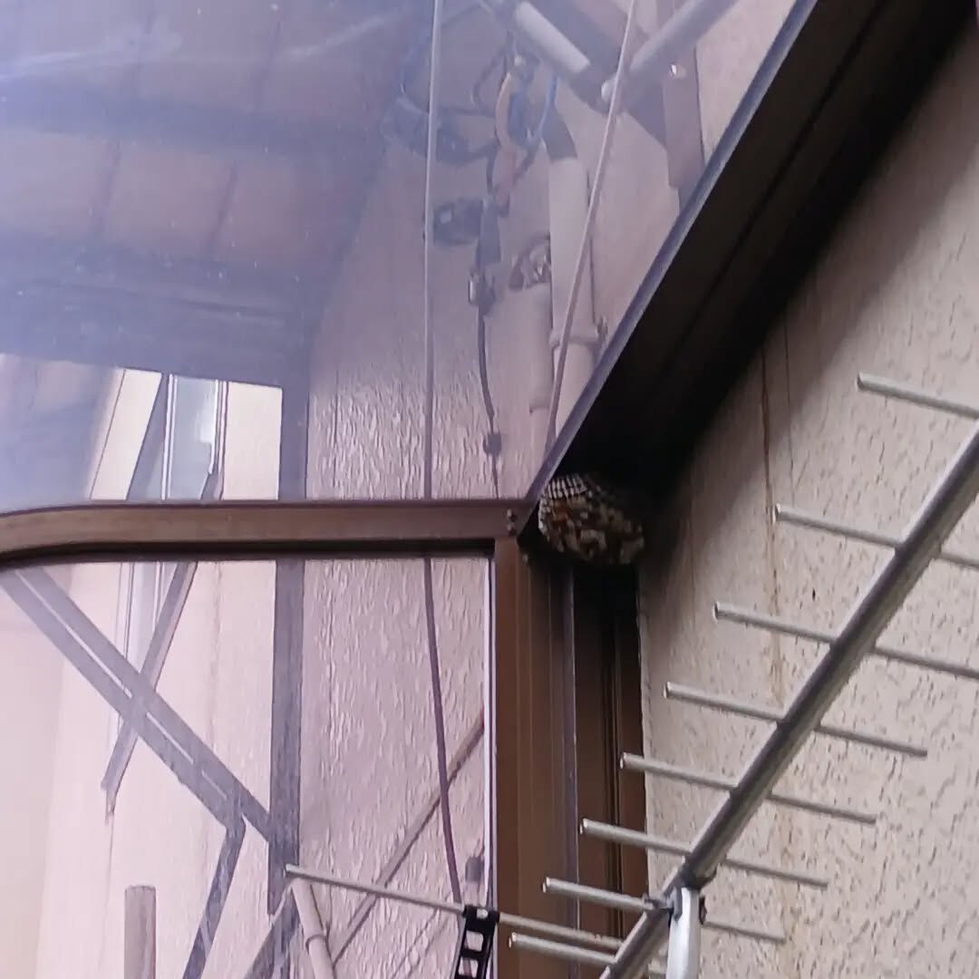 おはようございます！なじら家です！