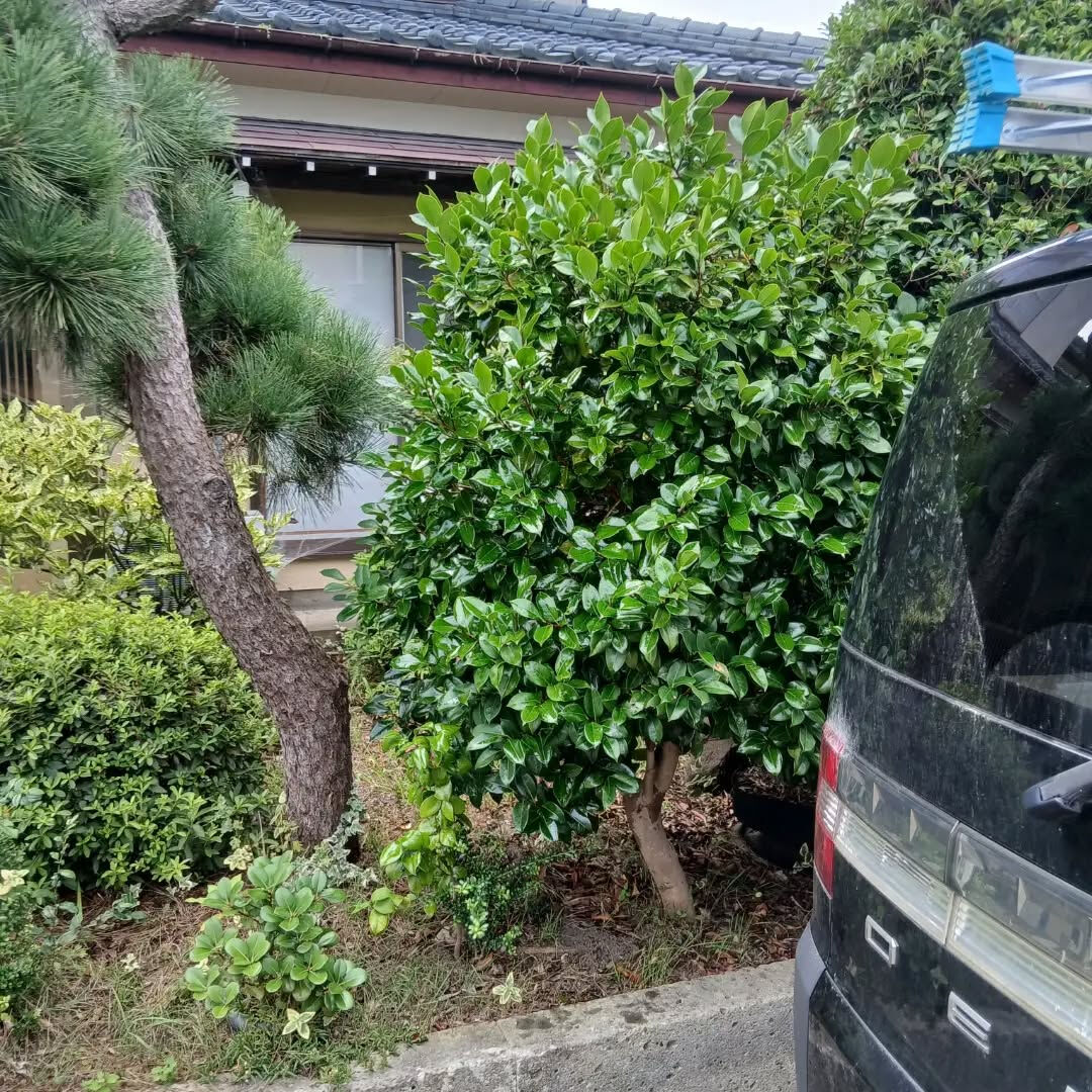 おはようございます！なじら家です！