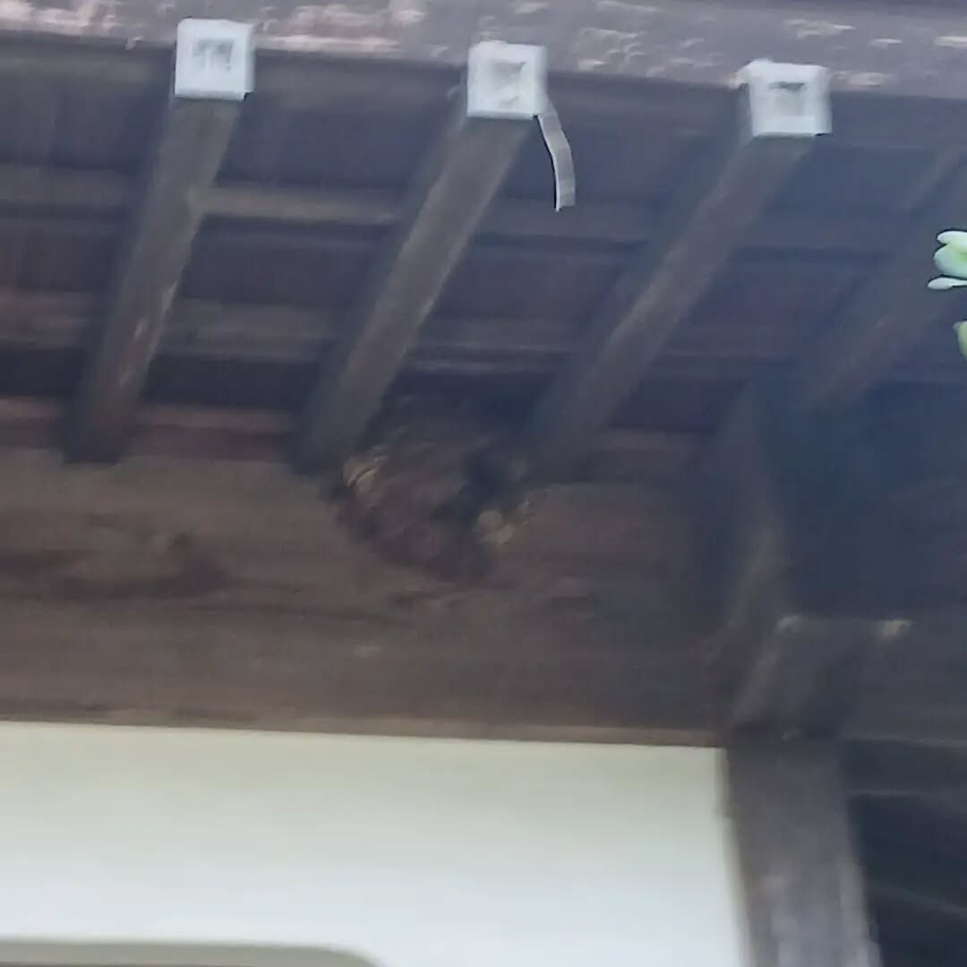 おはようございます！なじら家です！