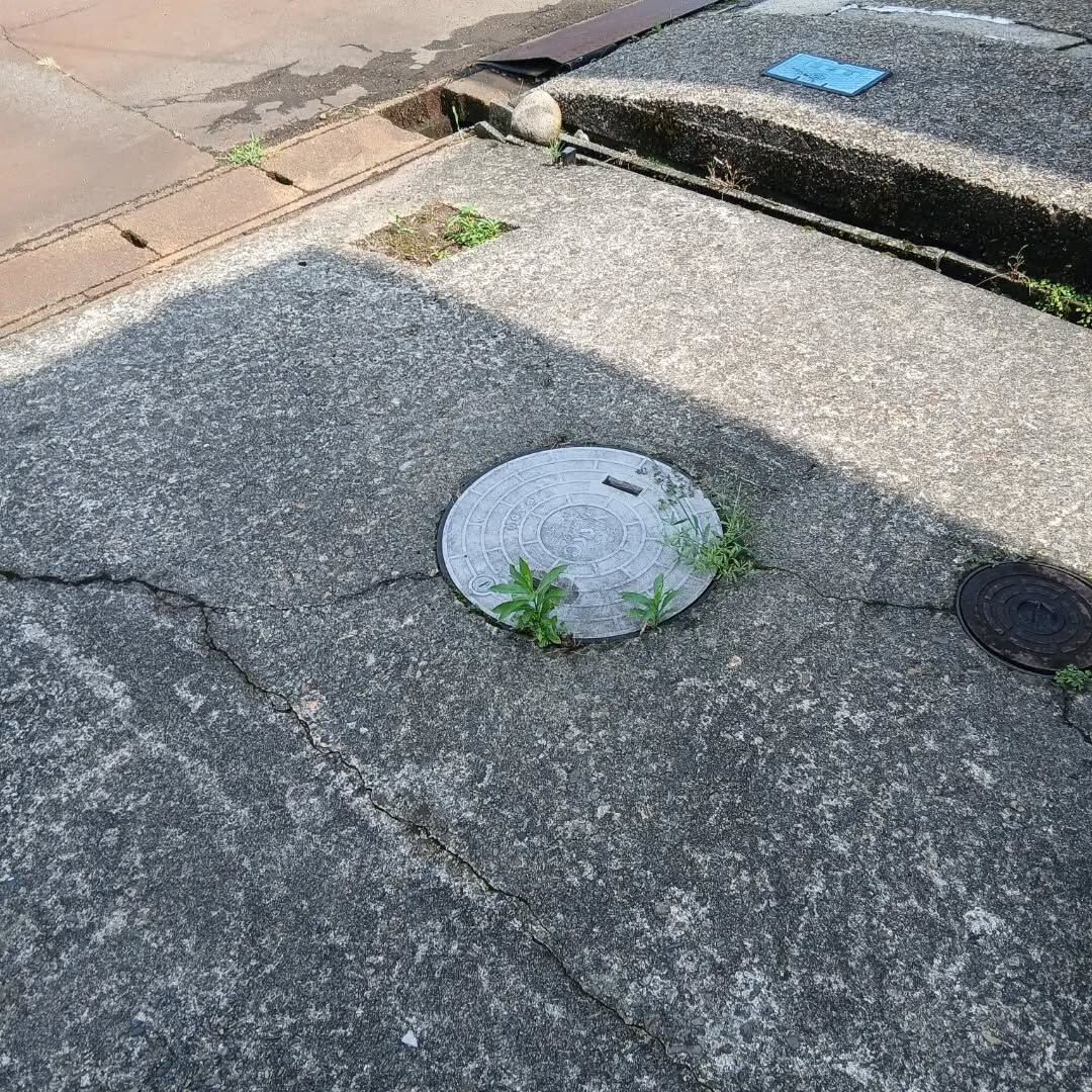 おはようございます！なじら家です！