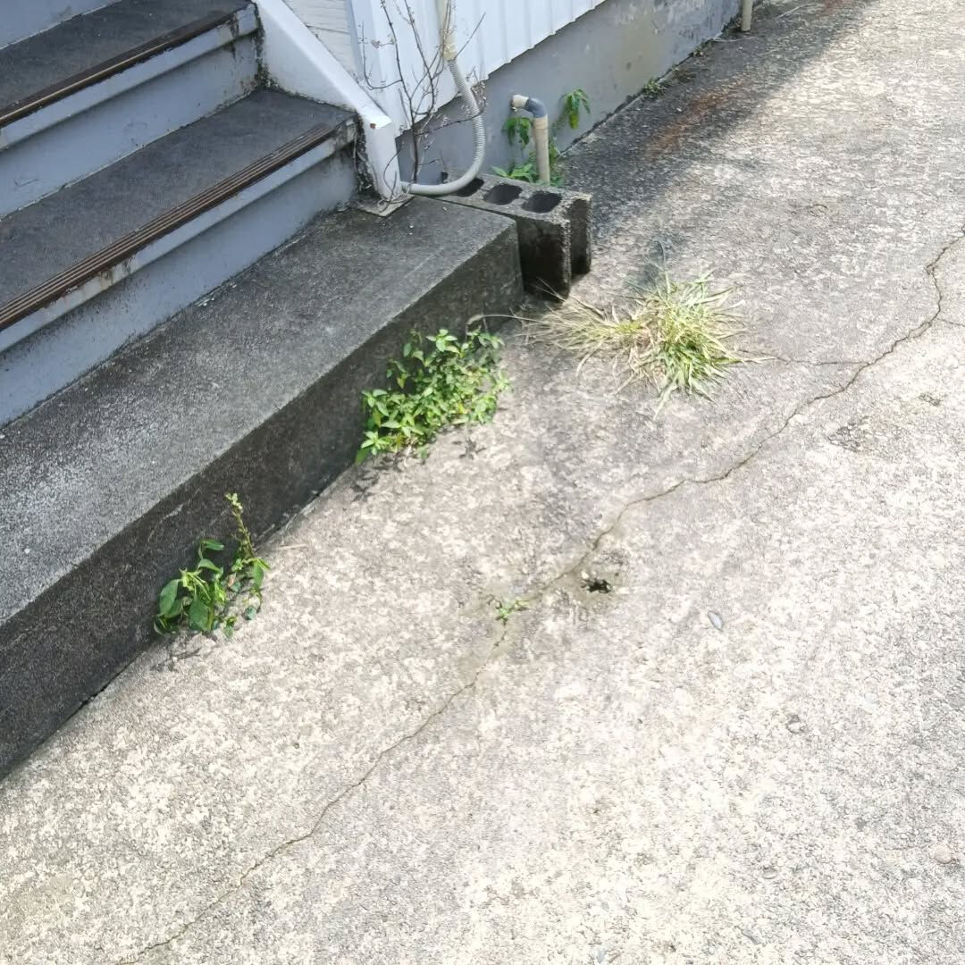 おはようございます！なじら家です！
