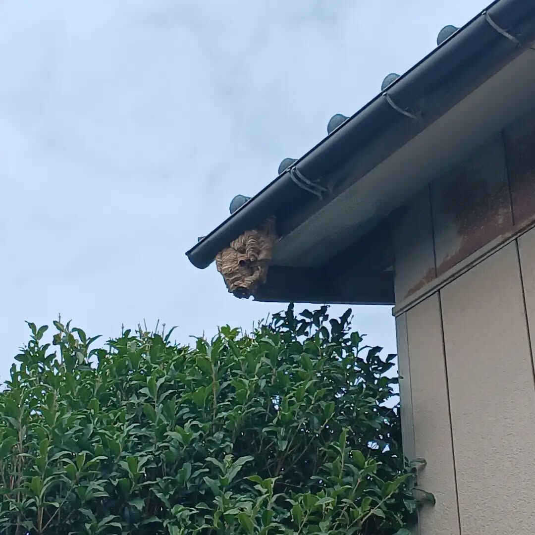 お疲れ様です！なじら家です！