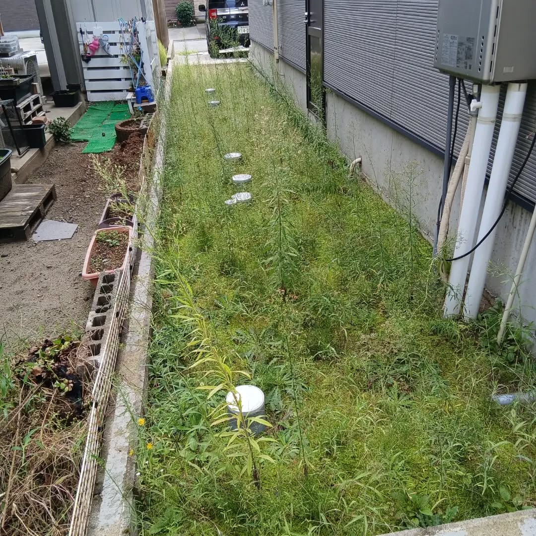 こんにちは！なじら家です！