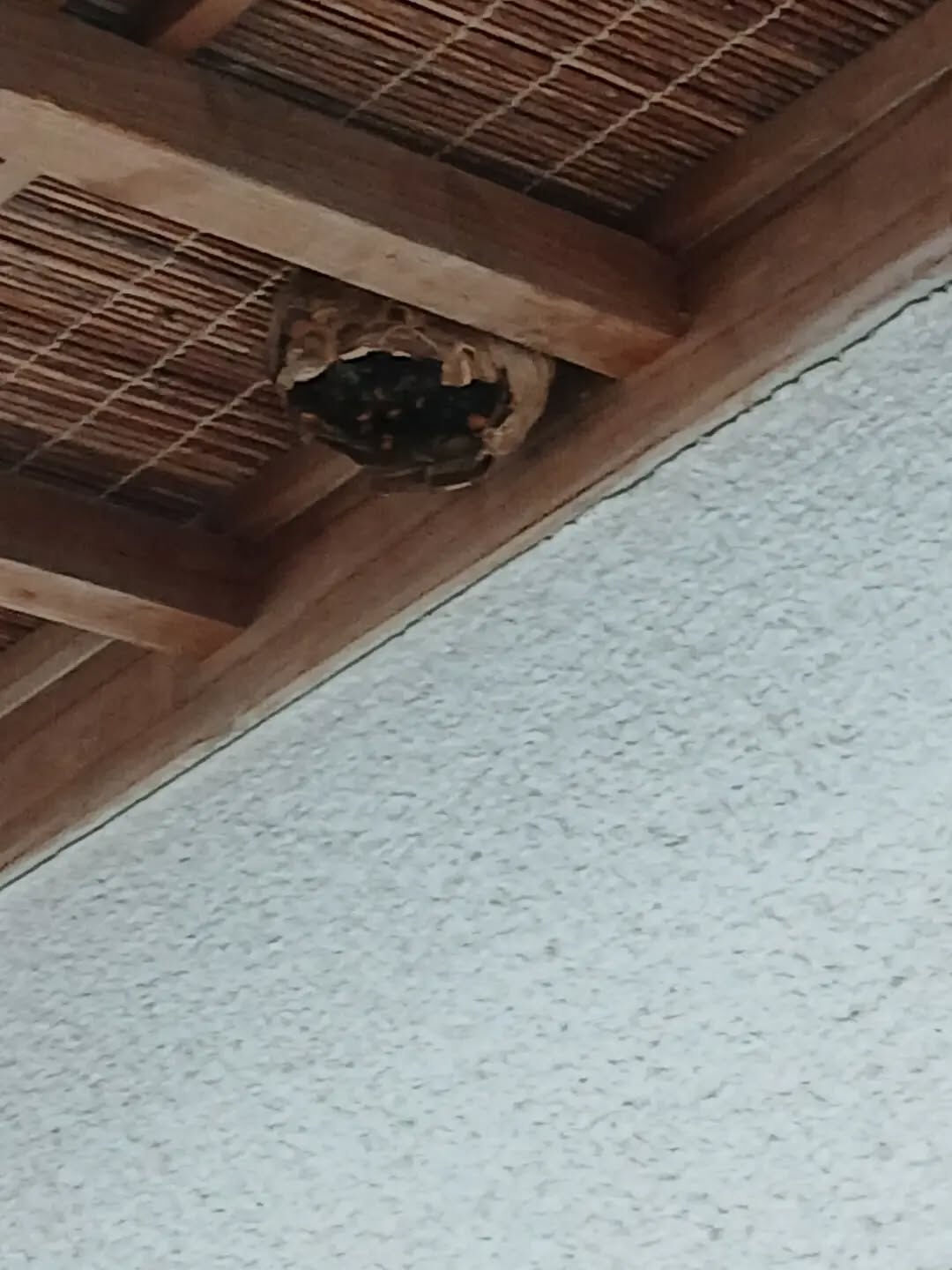 こんにちは！なじら家です！