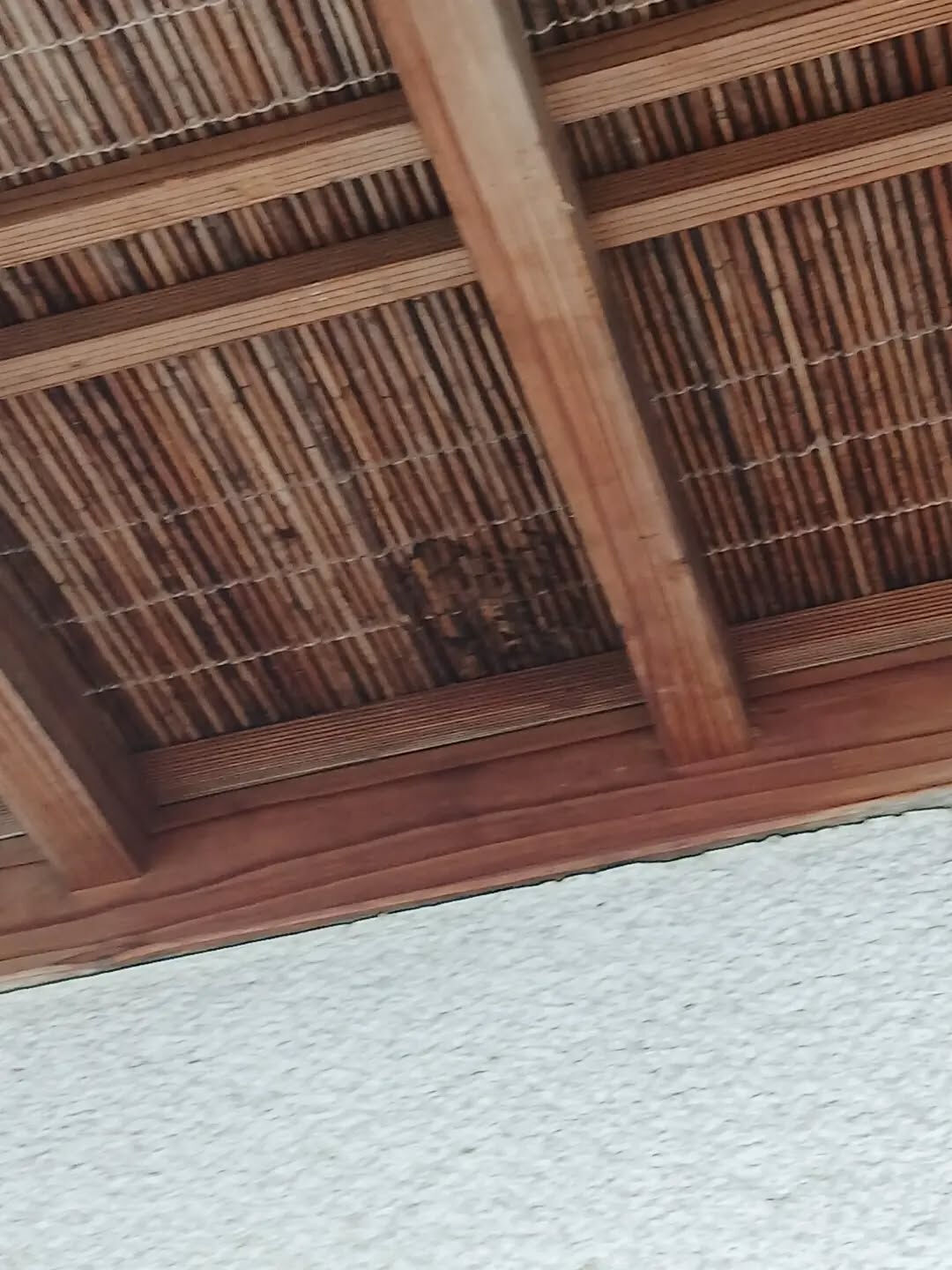 こんにちは！なじら家です！